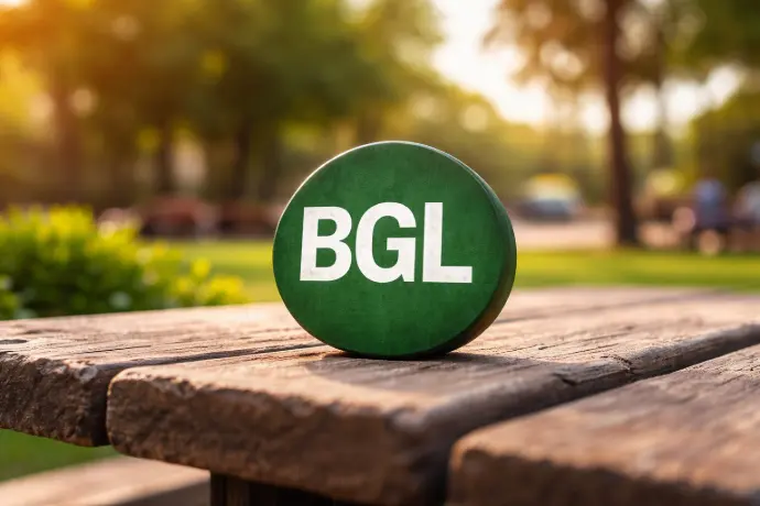 Financial Service